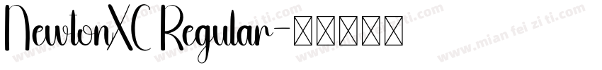 NewtonXC Regular字体转换